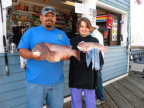 California Sheephead - Pier Fishing in California