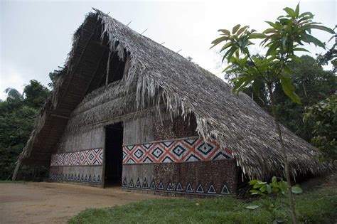 How to visit an indigenous village in the Amazon from Manaus | Amazon ...