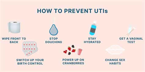 How To Prevent Uti - Twistchip Murasakinyack