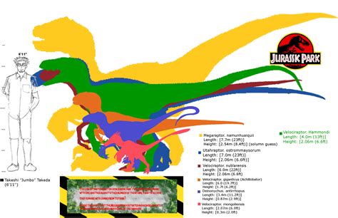 Velociraptor Size Comparison Jurassic Park