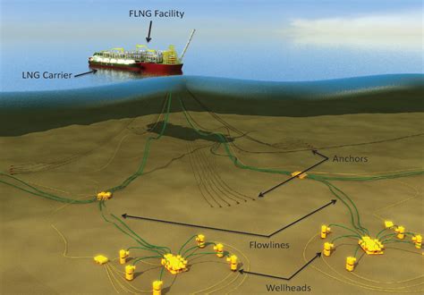 Meeting Offshore Oil & Gas Seal Standards for Optimum Results