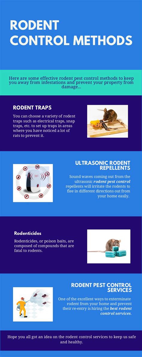 Effective Rodent Control Methods - mariyammuhseena - Page 1 - 1 | Flip ...