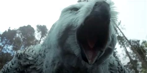 DnD Movie Has Perfect Response To Owlbear Controversy In New Commercial