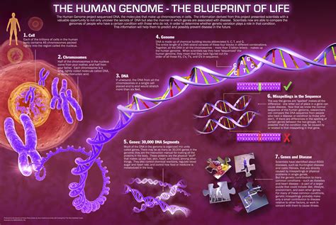 Synthetic biology. Matrix, Dolly the Sheep and bacteria of the future