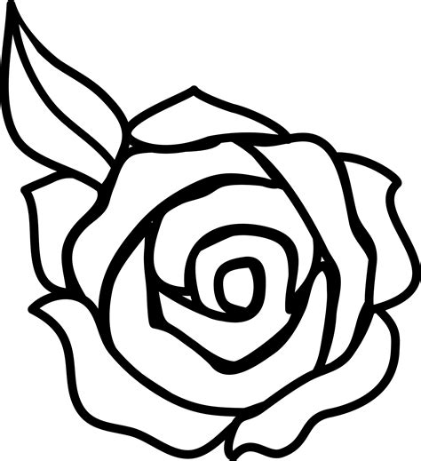 Free Rose Drawings, Download Free Rose Drawings png images, Free ...