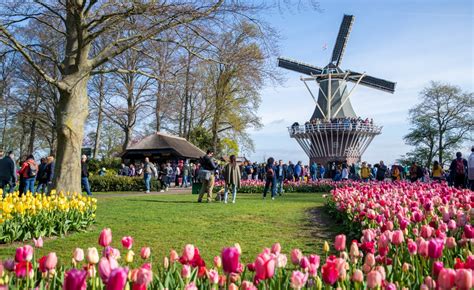 Chiêm ngưỡng vườn hoa tulip Keukenhof lớn nhất thế giới tại Hà Lan ...