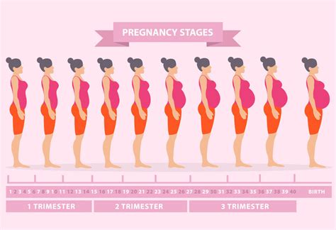 Pregnancy Symptoms Week by Week | First Trimester - Healthpulls