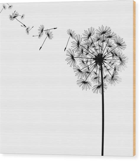 Dandelion - Drawing Skill