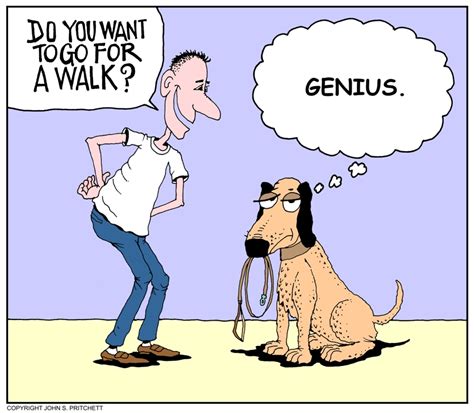 Dog Cartoon Walk The Dog Cartoon Dog Image Rocket Scientist Dog