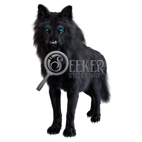 Morpheus Black Dire Wolf Pose 8 | Seeker Stock Art