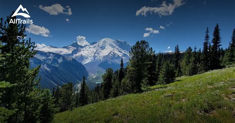 Day hikes at Sunrise, Mount Rainier | List | AllTrails