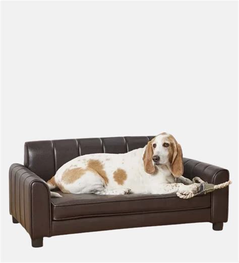 Buy Medium Pet Sofa In brown By Dogily at 100% OFF by Dogily | Pepperfry