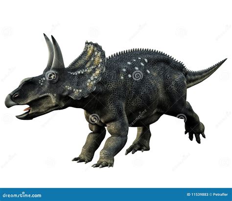 Horned Dinosaur Stock Photos - Image: 11539883