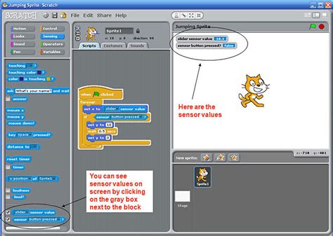 Science Buddies: Scratch User Guide: Connecting & Using a PicoBoard ...