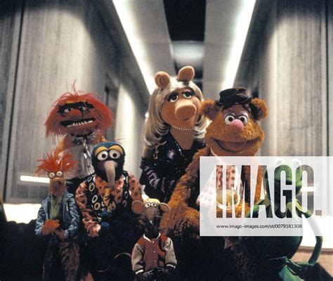 Beaker Muppets Fotos | IMAGO