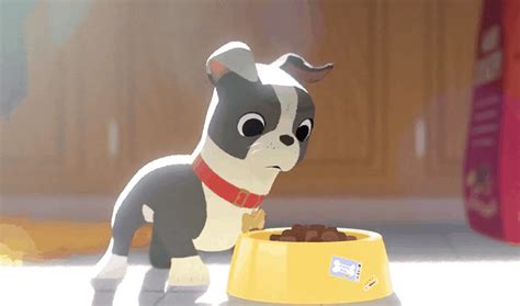 Feast Your Eyes On "Feast": Disney Animated Short That Is Guaranteed To ...