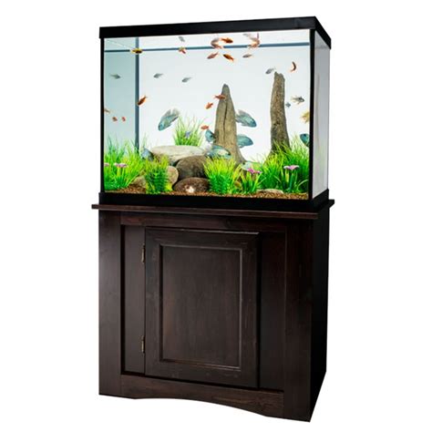 Ultimate 55 Gallon Aquarium Setup Guide - Fishxperts