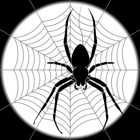 Download Spider, Web, Spider Web. Royalty-Free Vector Graphic - Pixabay