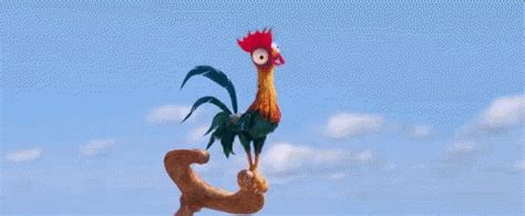 Moana Chicken GIF - Moana Chicken Heihei - Discover & Share GIFs