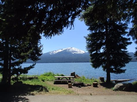 Diamond Lake Campground - UPDATED 2018 Reviews & Photos (Oregon ...