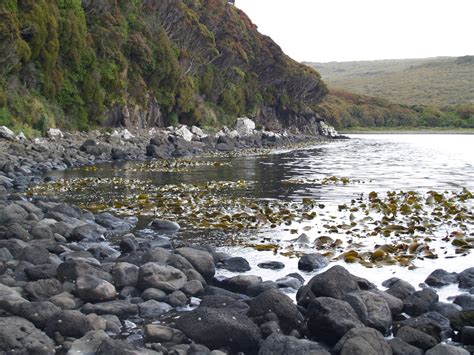 Intertidal zone — Science Learning Hub