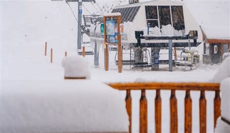 It's Dumping Snow at Banff Sunshine Ski Resort - Gripped Magazine