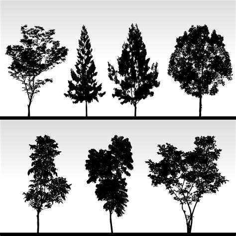 Tree Silhouette. 340797 Vector Art at Vecteezy