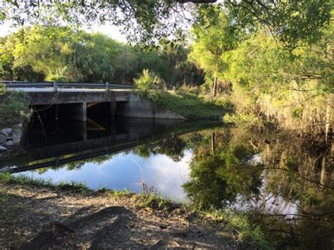 2023 Best Long Trails in Myakka River State Park | AllTrails