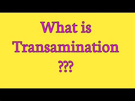 Transamination : Mechanism and examples of transamination - YouTube