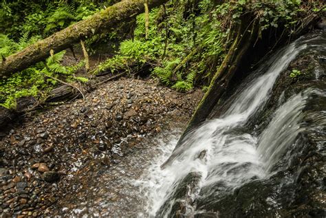 Paradise Point Hiking Trail System | Outdoor Project