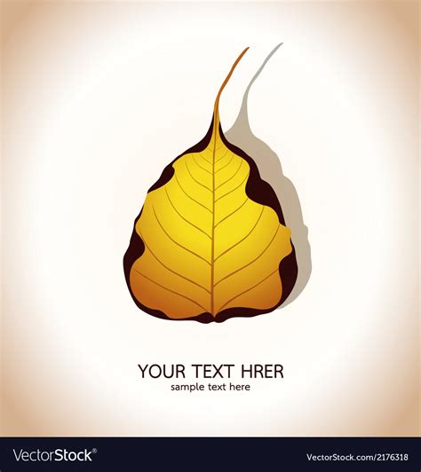 Bodhi leaf natural Royalty Free Vector Image - VectorStock