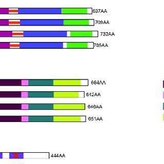 Functional Domains of histone chaperones involved in the cytoplasm ...