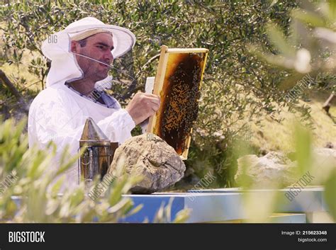 Honey Bee Keeper Image & Photo (Free Trial) | Bigstock