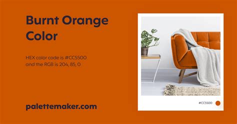 Burnt Orange Color - HEX #CC5500 Meaning and Live Previews - PaletteMaker