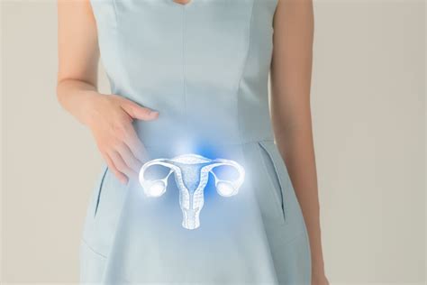 Anteverted Uterus: Causes, Symptoms, Fertility | Carreras Medical Center