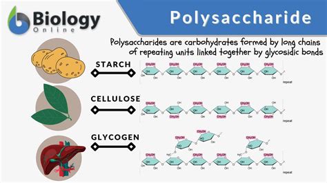 Structure Of Monosaccharides Disaccharides And Polysaccharides