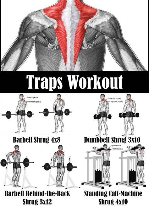 Traps Workout | Traps workout, Gym back workout, Gym workout apps