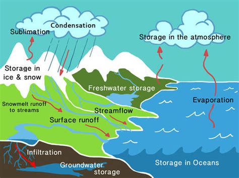 Condensation ( Read ) | Physical Science | CK-12 Foundation