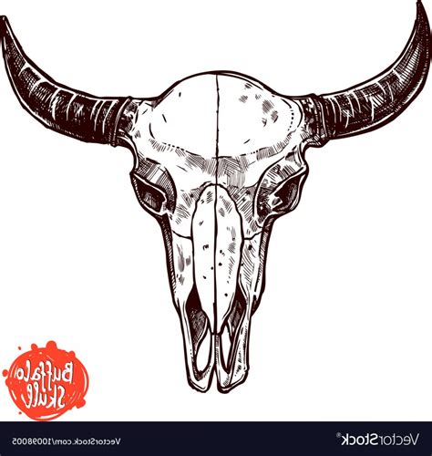 Texas Longhorn Vector at Vectorified.com | Collection of Texas Longhorn ...