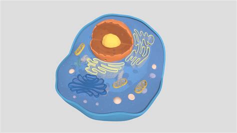 Cell Structure Section - 3D model by vinkfan [667d6d1] - Sketchfab