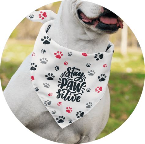 Create Personalized Custom Dog Bandanas – No Money Upfront