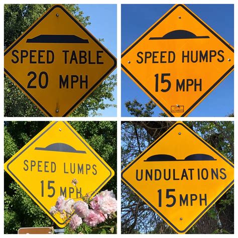 The “SPEED BUMPS” signs in Sacramento are quite comical. : r/Sacramento