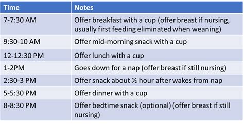 Feeding Schedule for Toddler - Nutrition Guide — Megan Boitano Nutrition