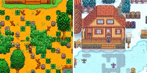 Complete Beginner's Guide To The First Few Weeks In Stardew Valley