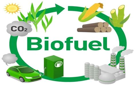 8 Top Sources of Biofuel