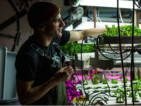 For Edible Alaska: Alaska Sprouts keeps growing - Julia O'Malley