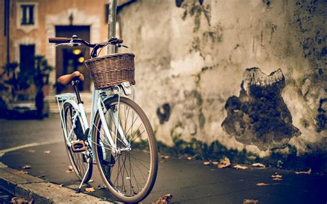 Vintage bicycle wallpaper | Bicycle wallpaper, Retro bicycle, Bicycle girl