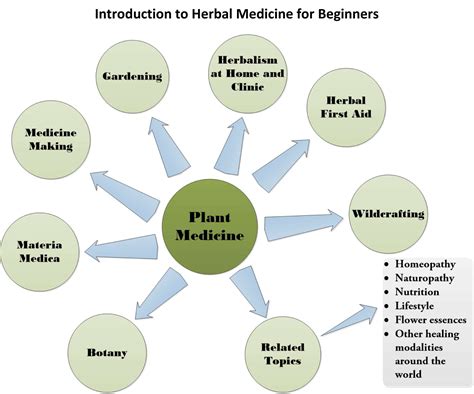 Introduction to Herbal Medicine for Beginners - Fall 2017 - Herbal ...