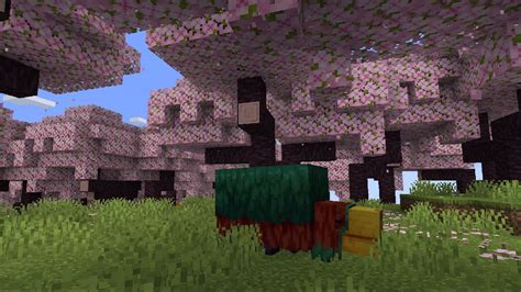 Minecraft announces new Cherry Blossom biome for 1.20 update