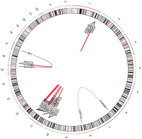 Fusion gene map showing fusion of genes in sample 193. | Download ...